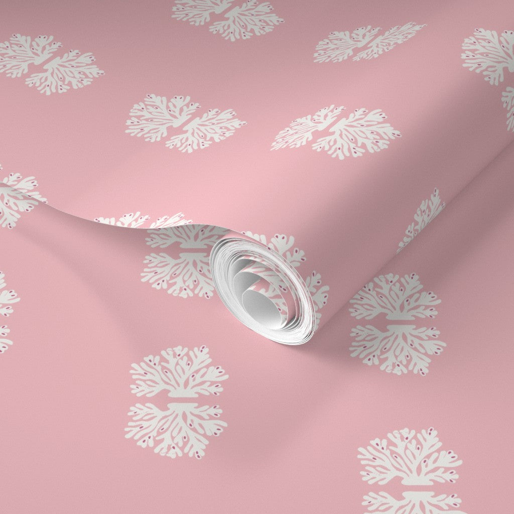 Coralline Traditional